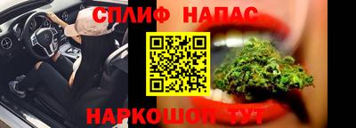 шишки Надым