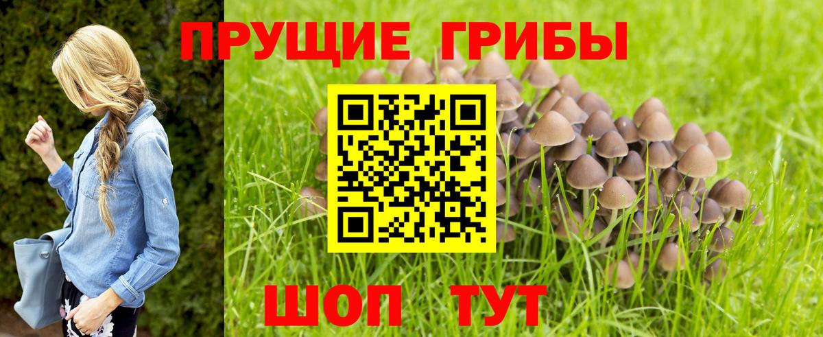 Гагарин  Псилоцибиновые грибы MAGIC MUSHROOMS  Вход с VPN  Псилоцибиновые грибы мицелий 